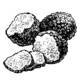 Tartufo