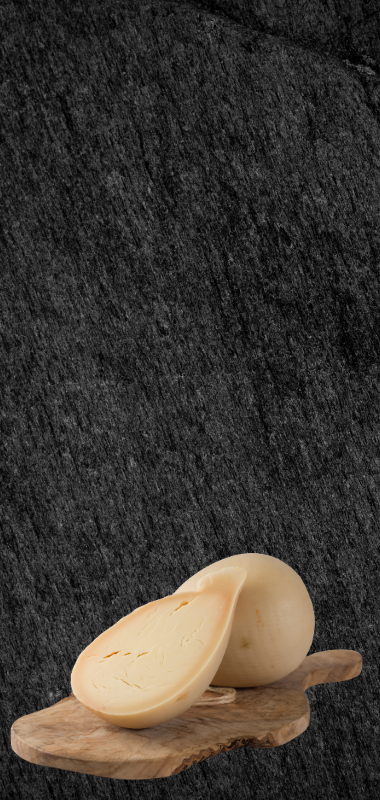 il molise non esiste andrea santorelli