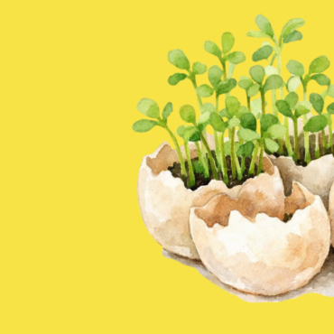 regali pasqua molise non esiste